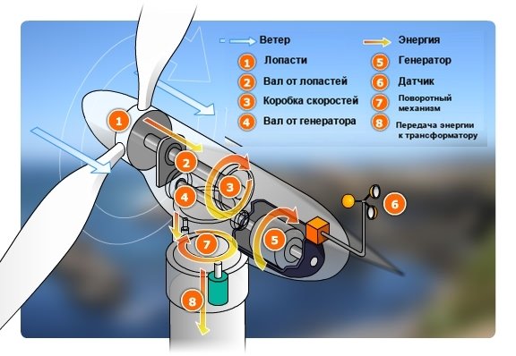 Детский интернет-магазин Интернет магазин Вампир, оборотень и прочая нечисть : Где найти : Дамский