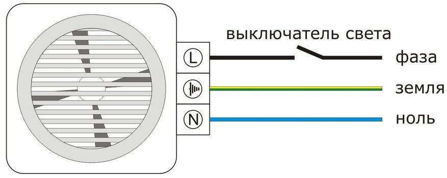 Эффектные виды стрижек для Йорков 13 Эффектные виды стрижек для Йорков 42